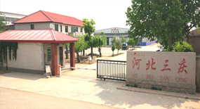开云体育登录平台风采